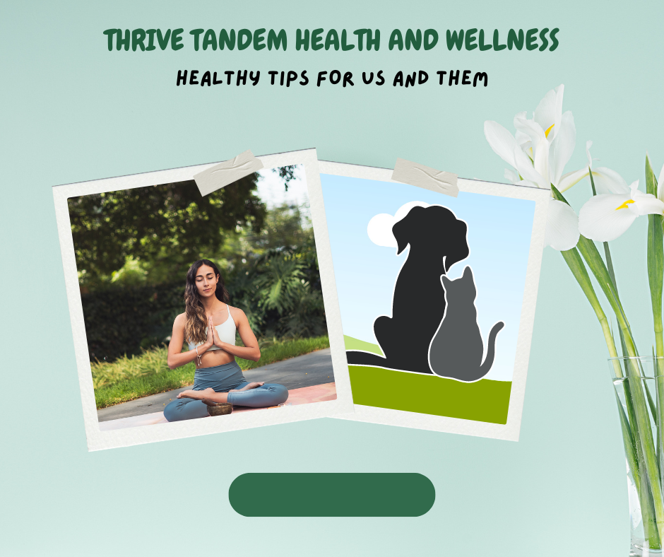 Thrive Tandem Health and Wellness (1)